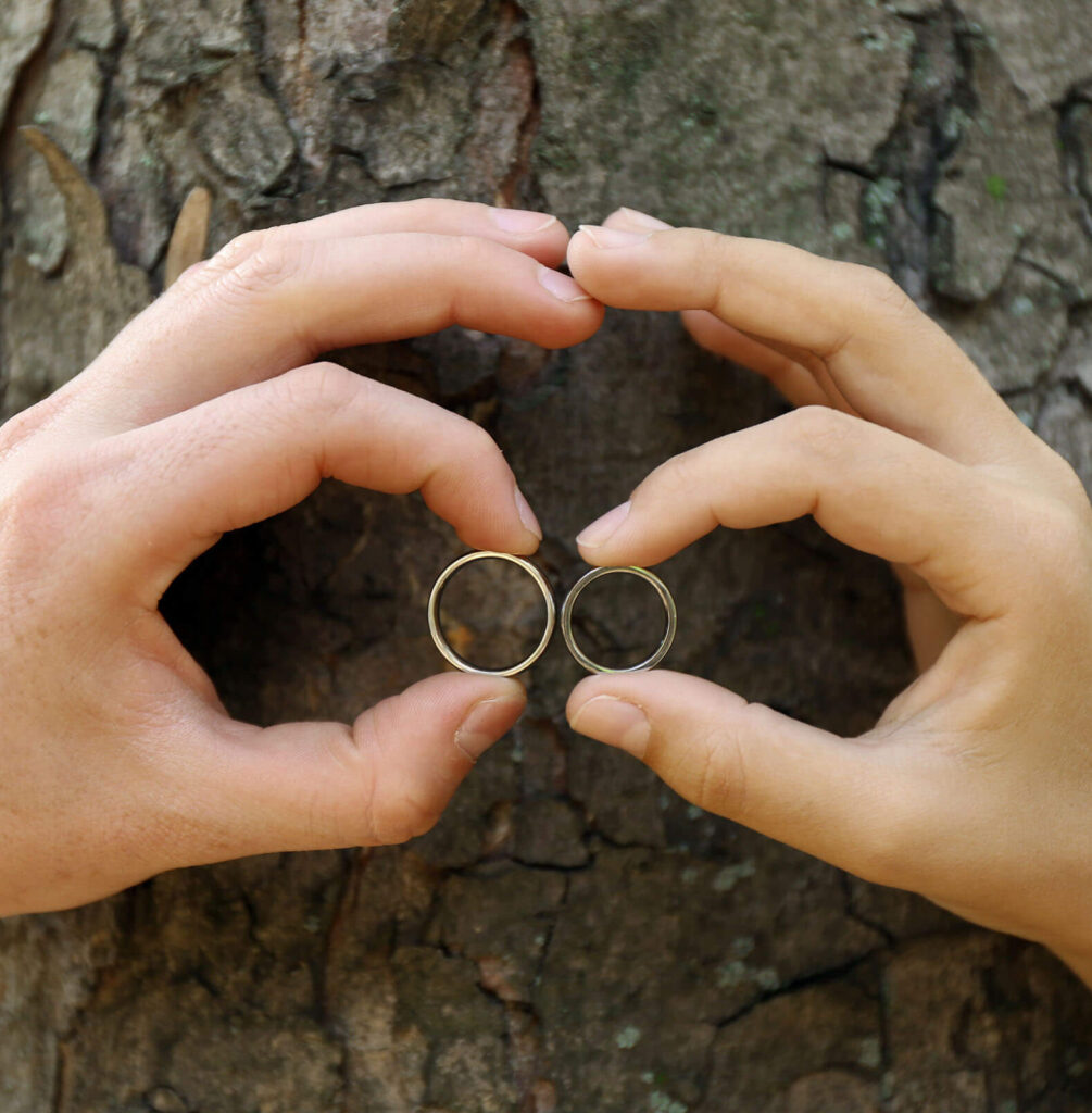 Trauringe vor einer Baumrinde